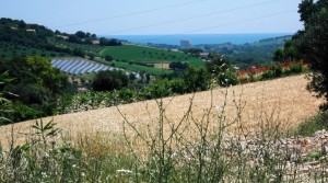 casale marchigiano con corte e vista mare contrada castelletta potenza picena agenzia immobilliare parigi 04