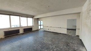 11 laboratorio