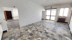12 laboratorio