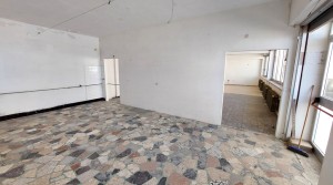 13 laboratorio