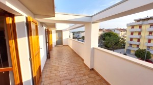 15 terrazzo