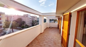 16 terrazzo