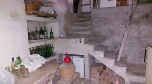 19 cantina
